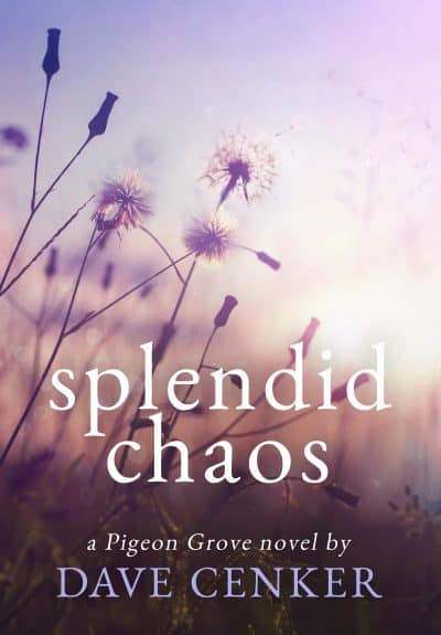 Cover for Splendid Chaos