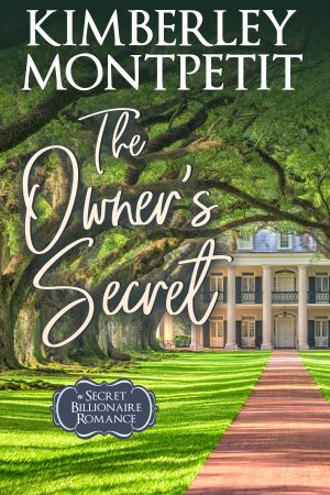 Cover for The Owner's Secret