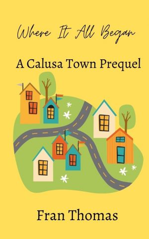 Cover for Where It All Began: A Calusa Town Prequel