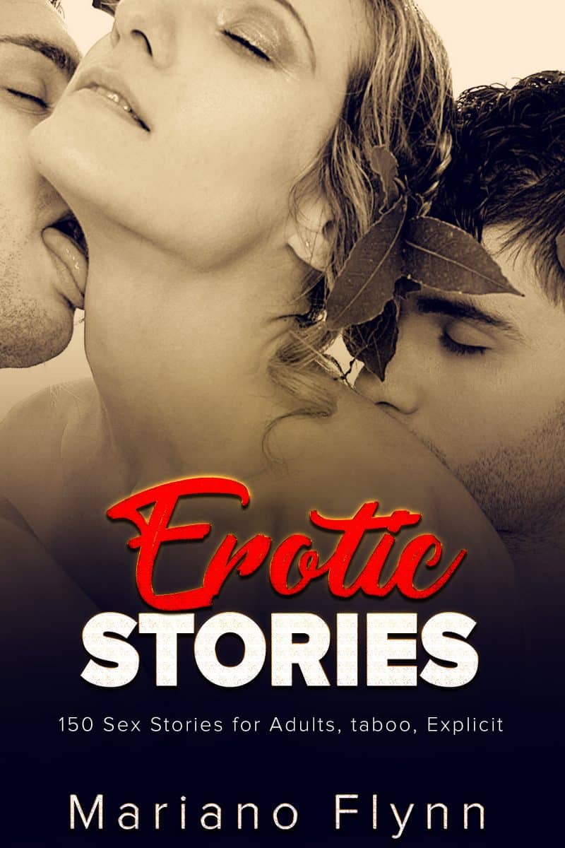 Cover for Erotic Stories 2