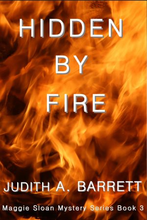 Cover for Hidden By Fire