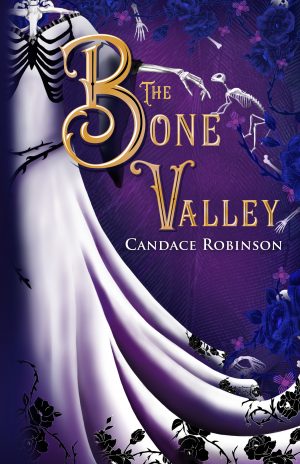 Cover for The Bone Valley
