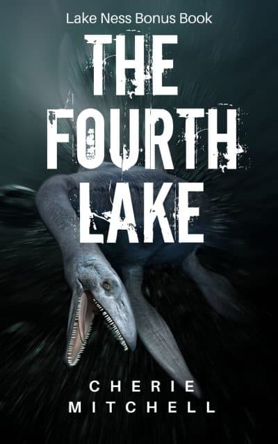Cover for The Fourth Lake