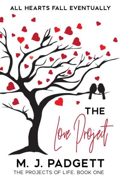 Cover for The Love Project