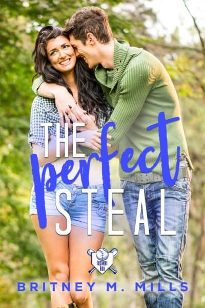 Cover for The Perfect Steal