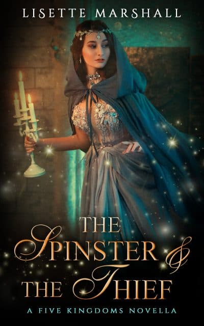 Cover for The Spinster & The Thief