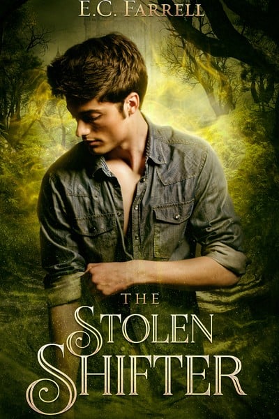 Cover for The Stolen Shifter