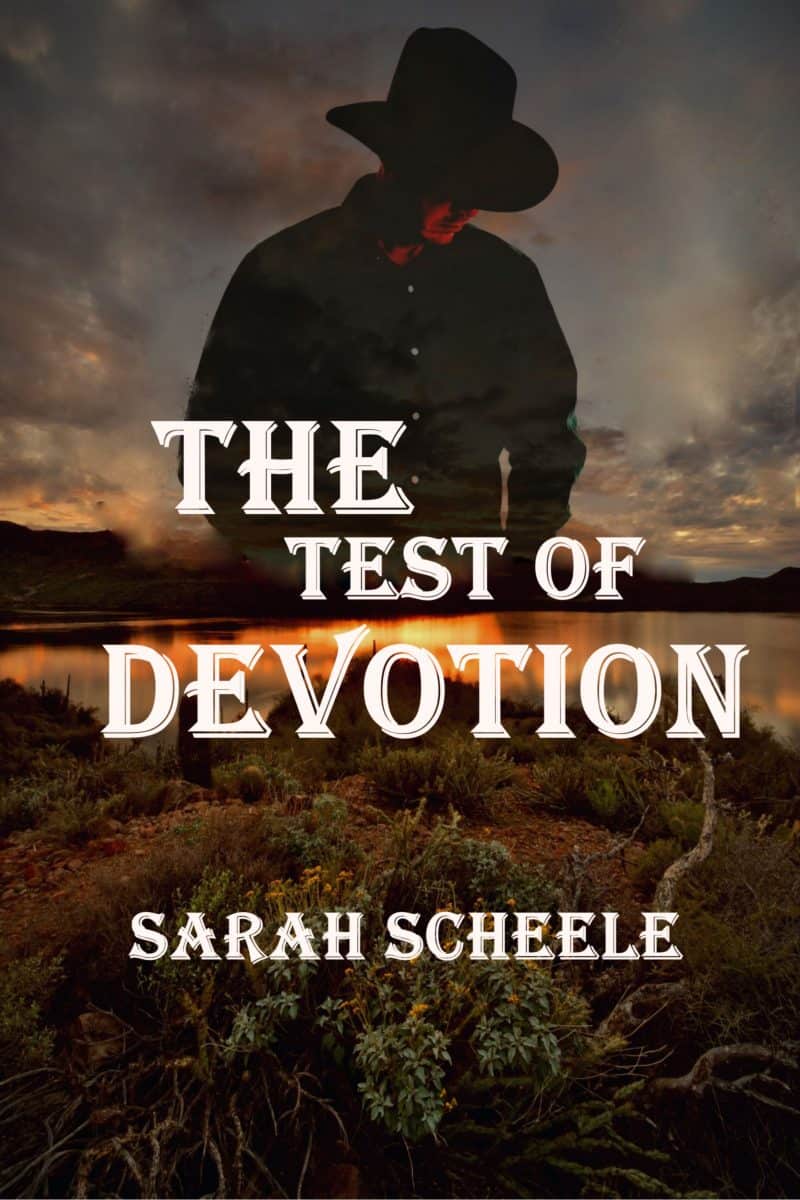 Cover for The Test of Devotion