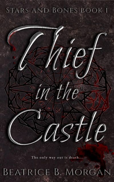 Cover for Thief in the Castle