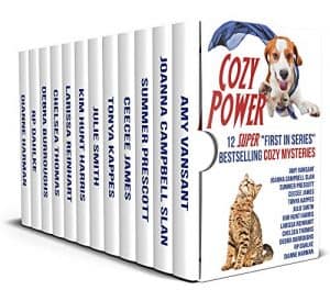 Cover for Cozy Power!