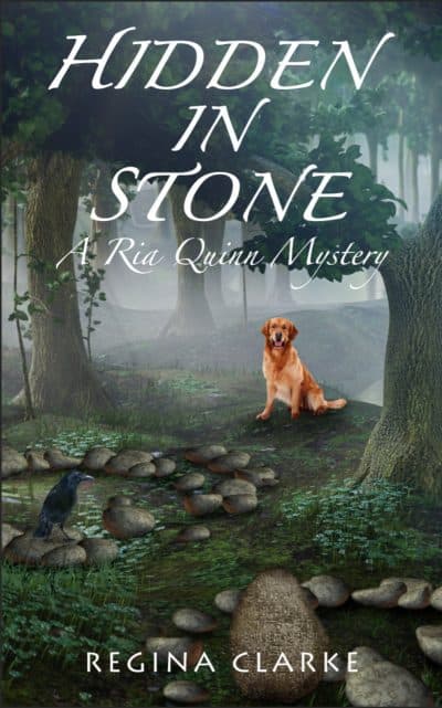 Cover for Hidden in Stone