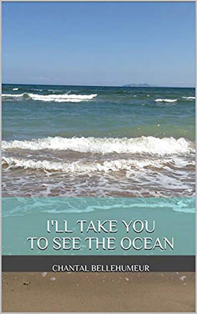 Cover for I'll Take You to See the Ocean