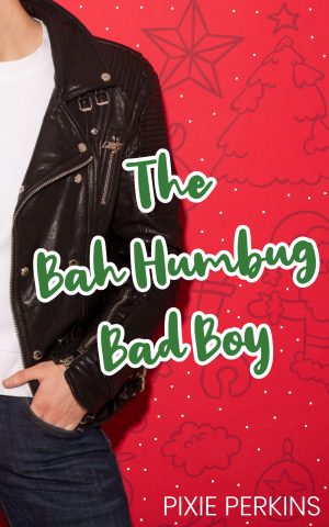 Cover for The Bah Humbug Bad Boy