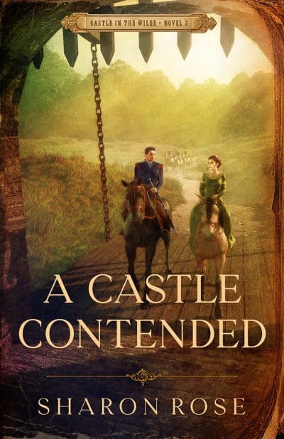 Cover for A Castle Contended