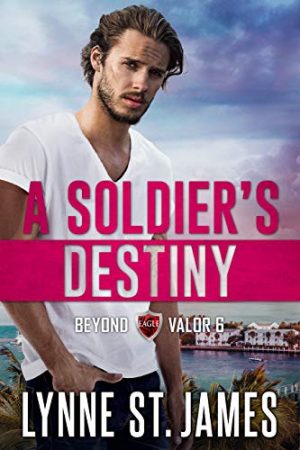 Cover for A Soldier's Destiny