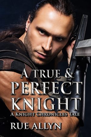 Cover for A True and Perfect Knight