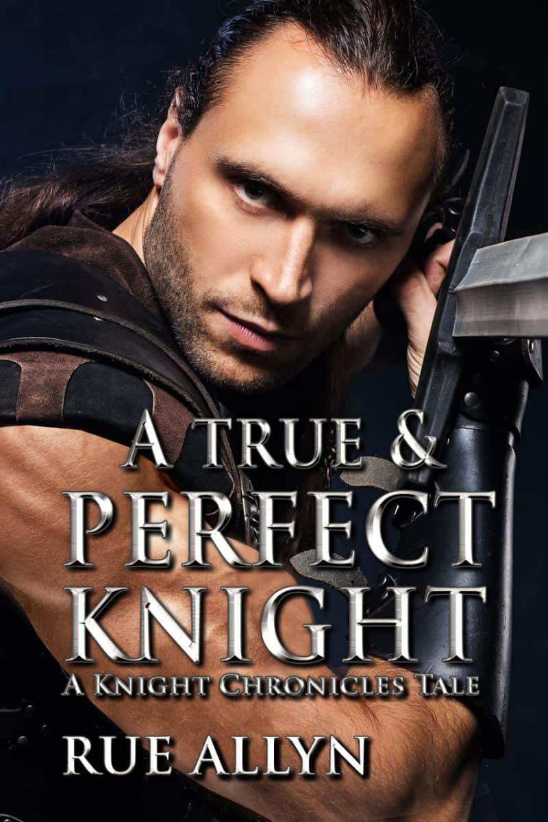Cover for A True and Perfect Knight: A Knight Chronicles Tale