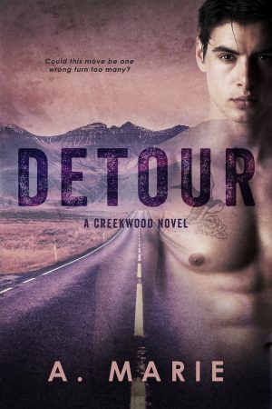 Cover for Detour