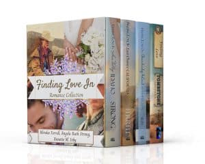 Cover for Finding Love In Romance Collection