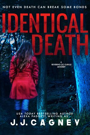 Cover for Identical Death