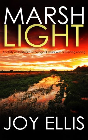 Cover for Marshlight