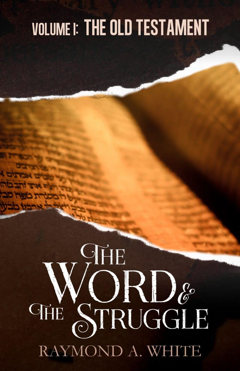 Cover for The Word and the Struggle: Old Testament