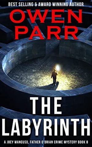 Cover for The Labyrinth