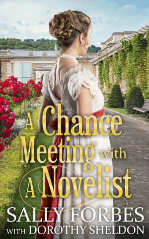 Cover for A Chance Meeting with a Novelist