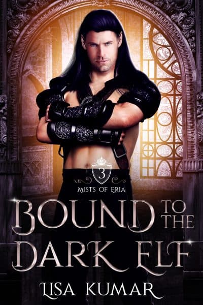 Cover for Bound to the Dark Elf