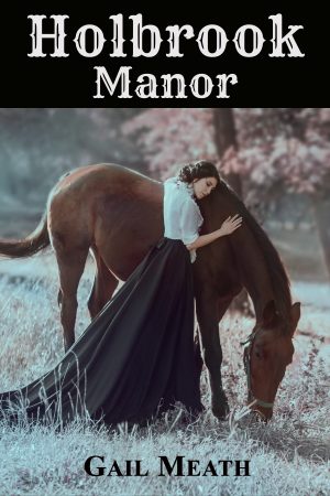 Cover for Holbrook Manor
