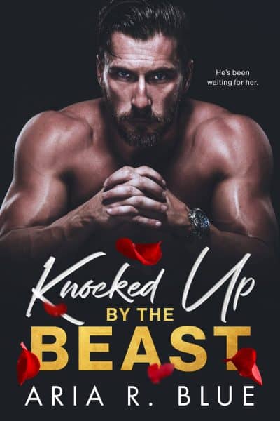 Cover for Knocked up by the Beast