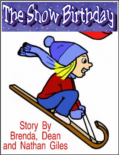 Cover for The Snow Birthday