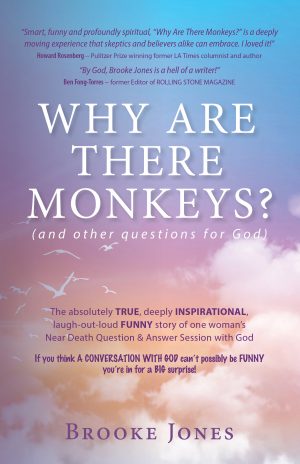 Cover for Why Are There Monkeys? (and other questions for God)