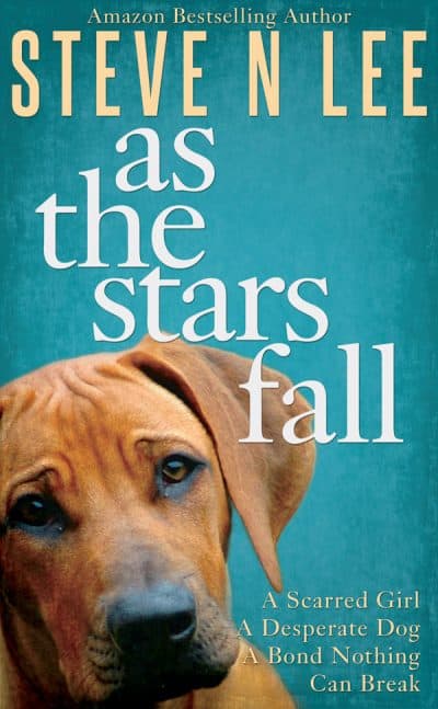 Cover for As the Stars Fall