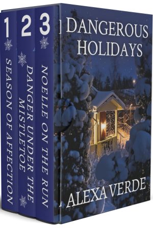 Cover for Dangerous Holidays