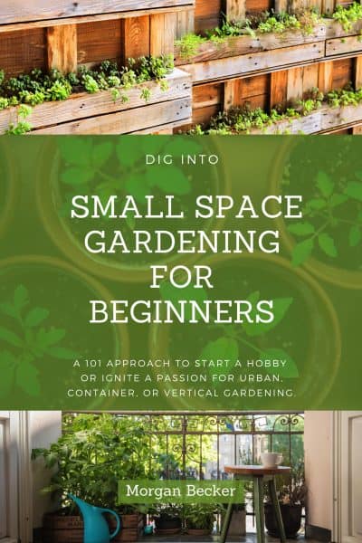 Cover for Dig into Small Space Gardening for Beginners