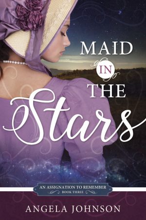 Cover for Maid in the Stars