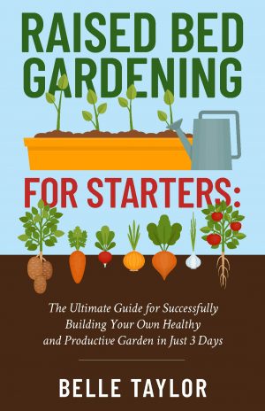 Cover for Raised Bed Gardening for Starters
