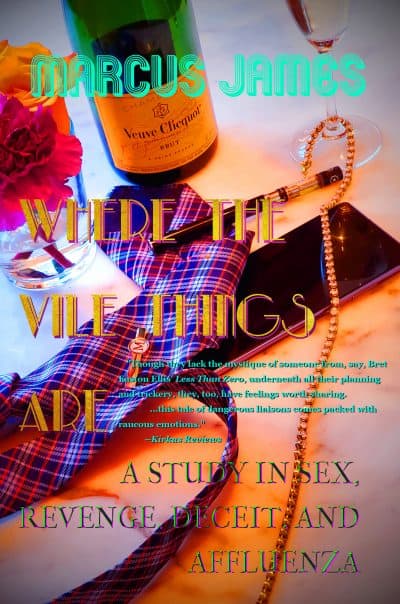 Cover for Where the Vile Things Are