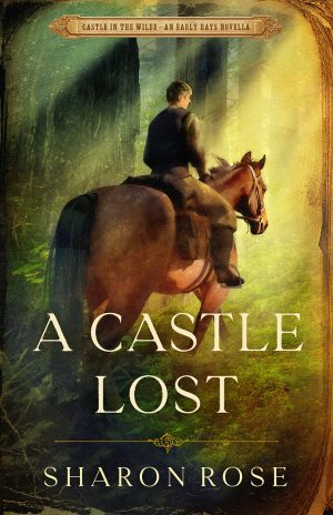 Cover for A Castle Lost