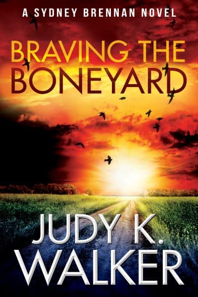 Cover for Braving the Boneyard