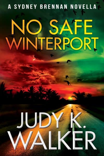 Cover for No Safe Winterport