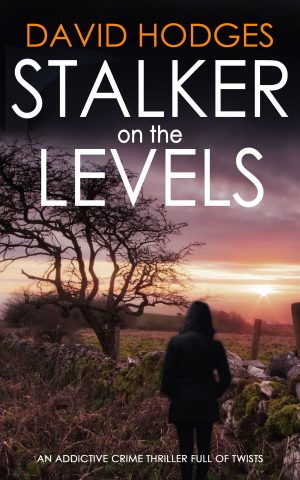 Cover for Stalker on the Levels