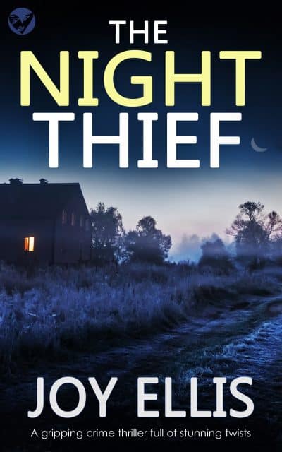 Cover for The Night Thief