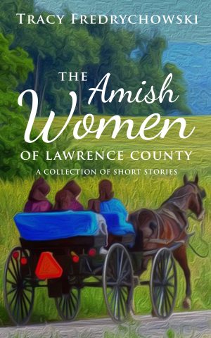 Cover for The Amish Women of Lawrence County