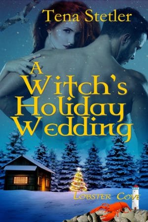Cover for A Witch's Holiday Wedding