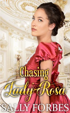 Cover for Chasing Lady Rosa