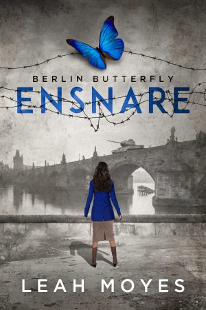 Cover for Ensnare