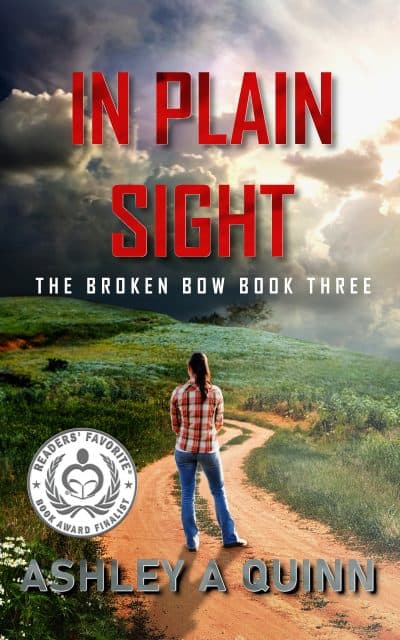 Cover for In Plain Sight