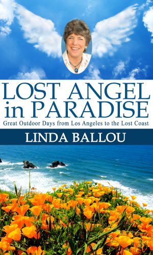 Cover for Lost Angel in Paradise: Outdoor Days from L.A. to the Lost Coast of California